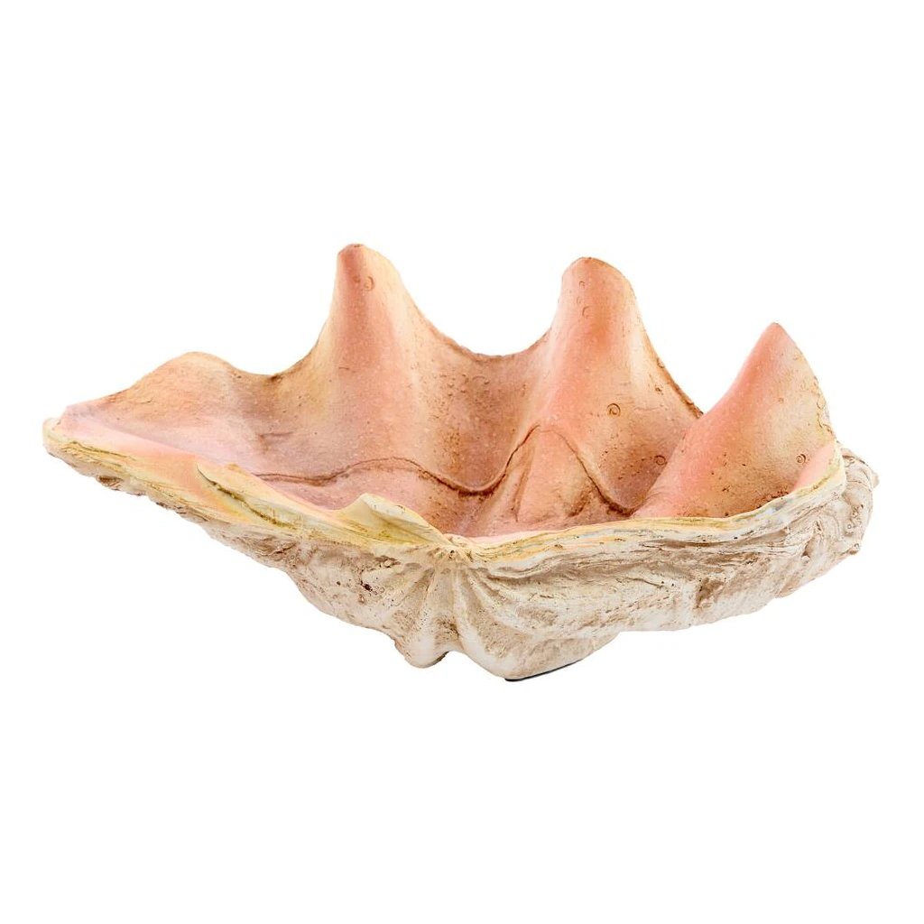 Adorno Shell