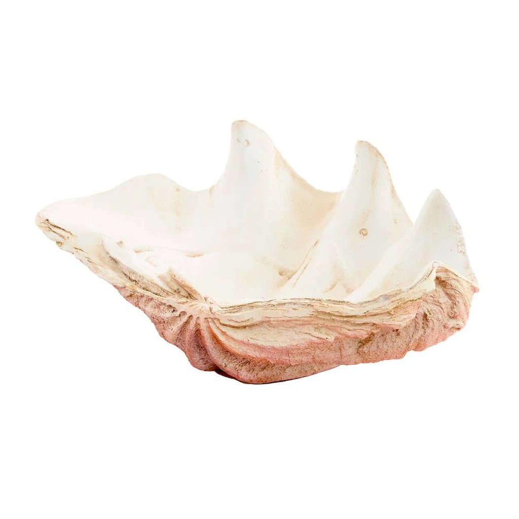 Adorno Shell