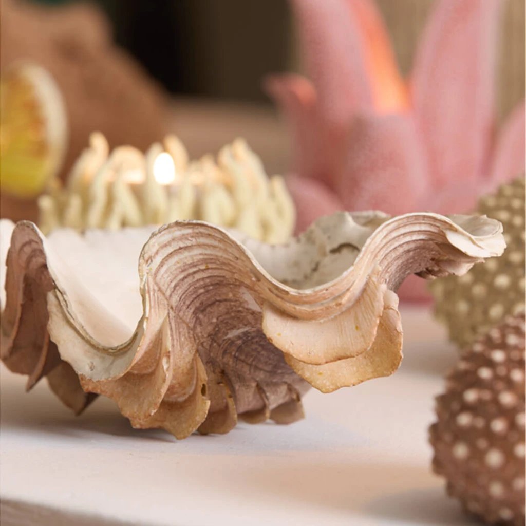 Adorno Shell