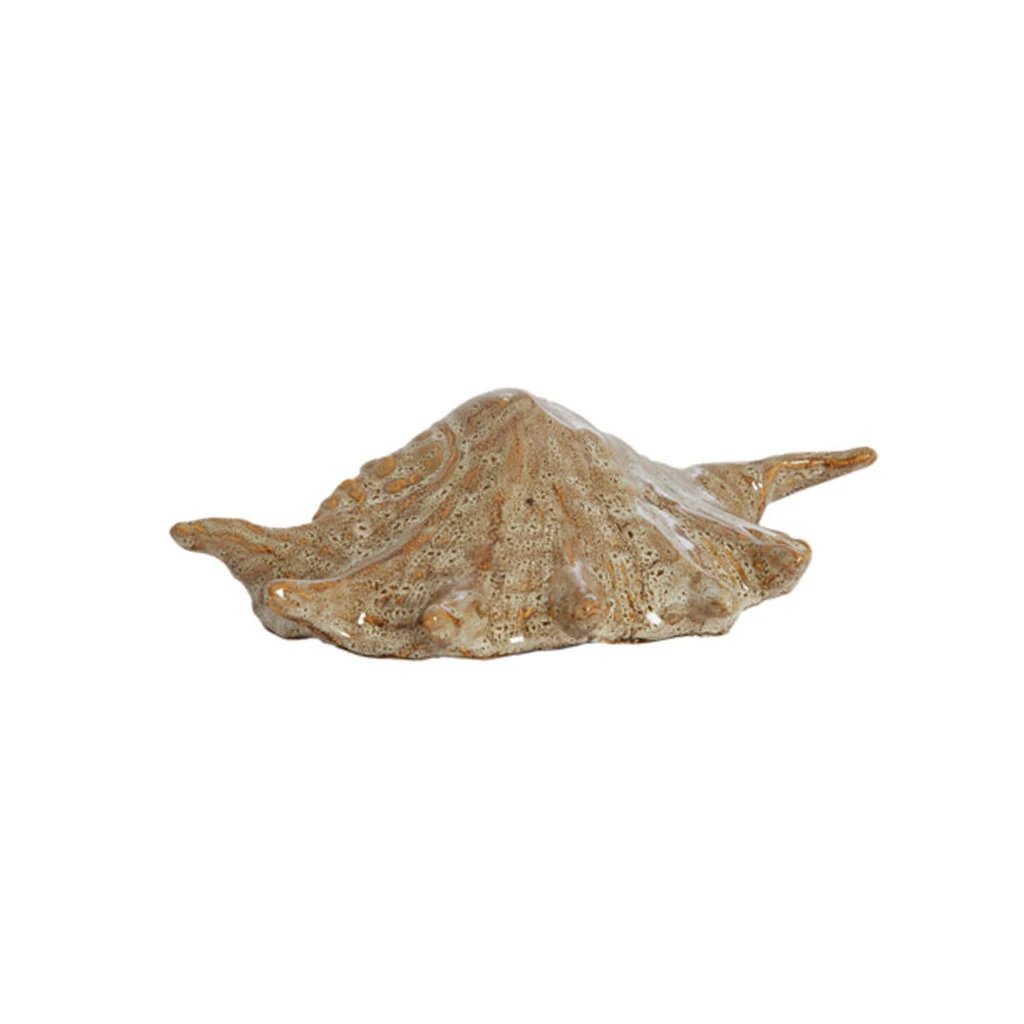 Adorno Shell
