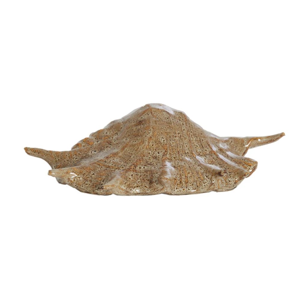 Adorno Shell