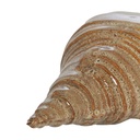 Escultura Shell