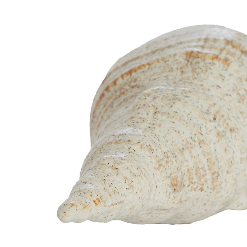 Escultura Shell