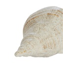 Escultura Shell