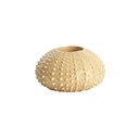 2M Candelero Erizo Crema 8cm