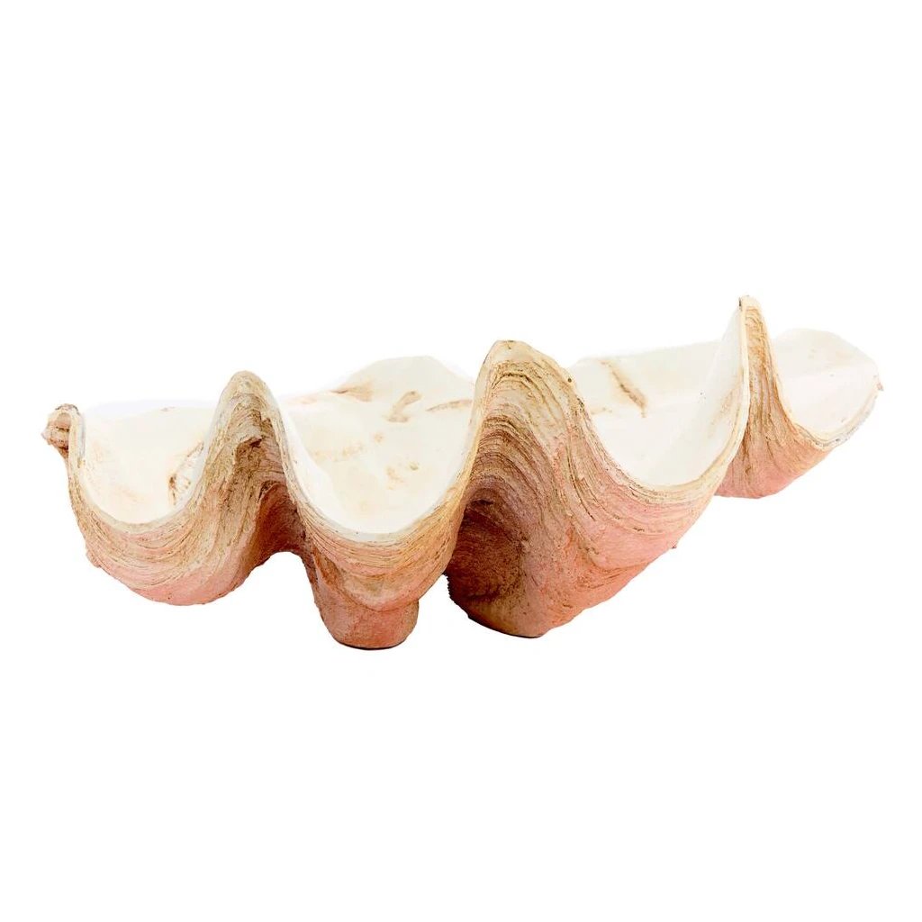 2M Concha Ceramica Crema 17cm