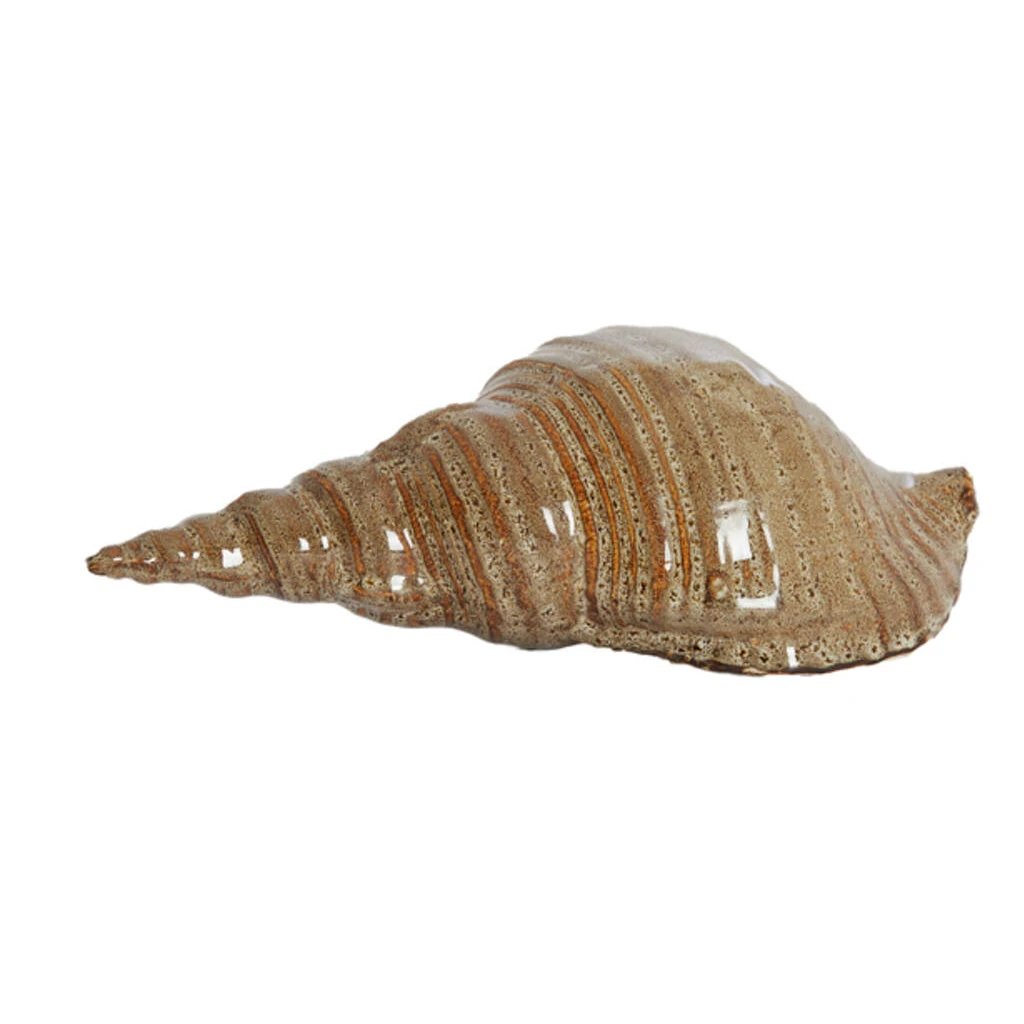 2M Concha 9cm Ceramica Lunares Cafe