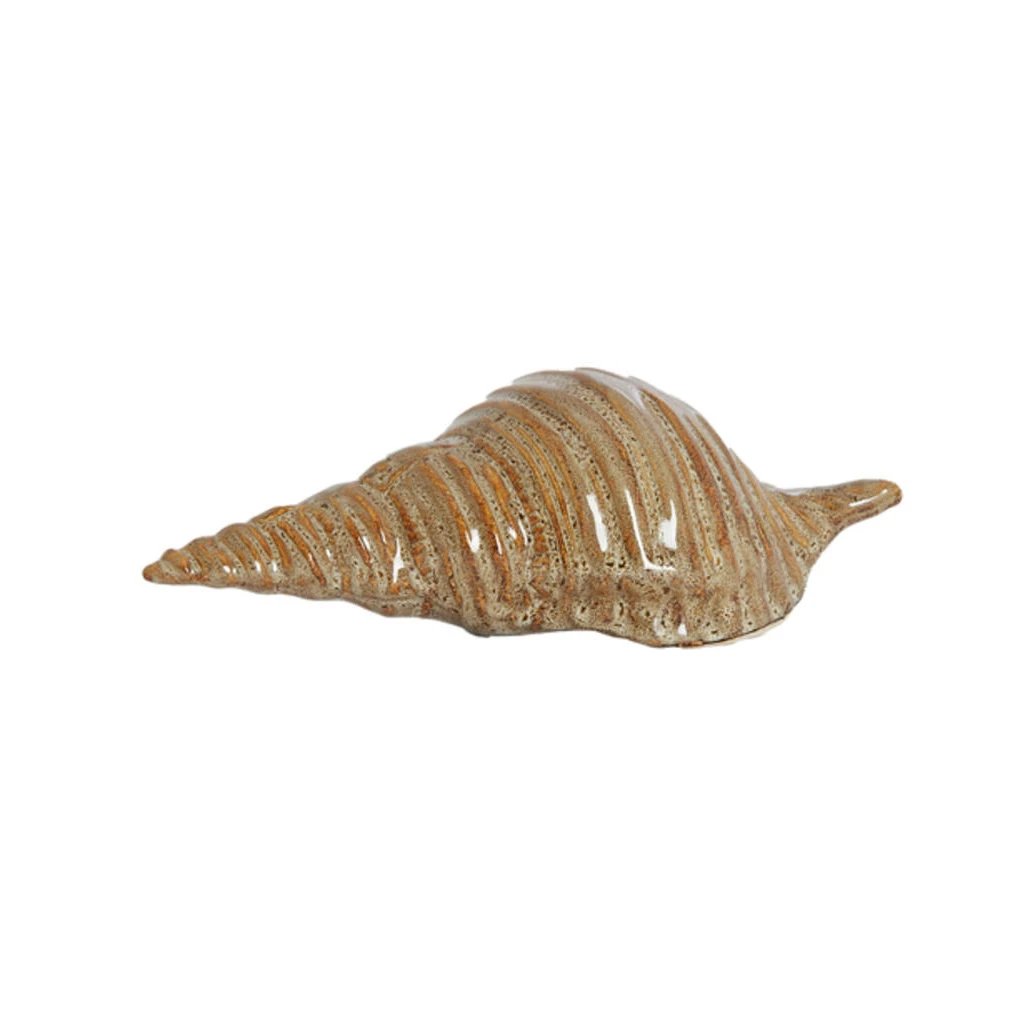 2M Concha 7 5cm Ceramica Lunares Cafe