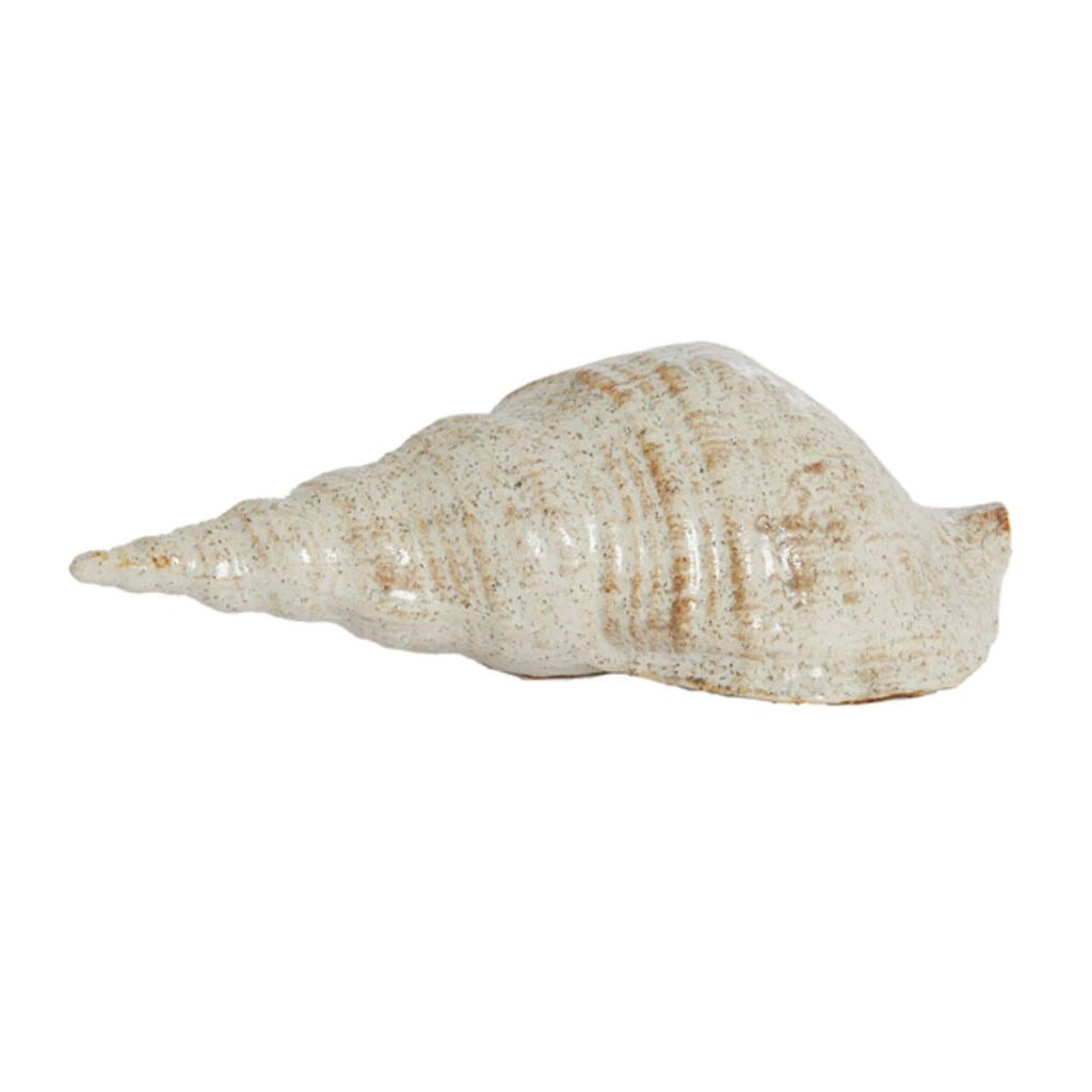 2M Caracol Ceramico Crema 9cm