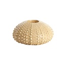 2M Candelero Erizo Coral 8cm