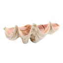 2M Concha Ceramica Taupe 17cm